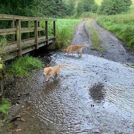 Bei Mit Garten Lejlighed Willingen (Upland)