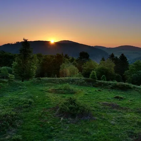 Bei Mit Garten Willingen (Upland)