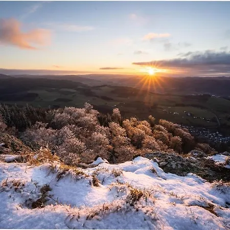 Near Willingen With Garden * Willingen (Upland)