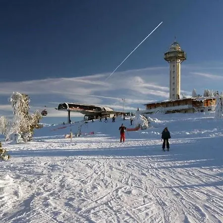 Bei Mit Garten Willingen