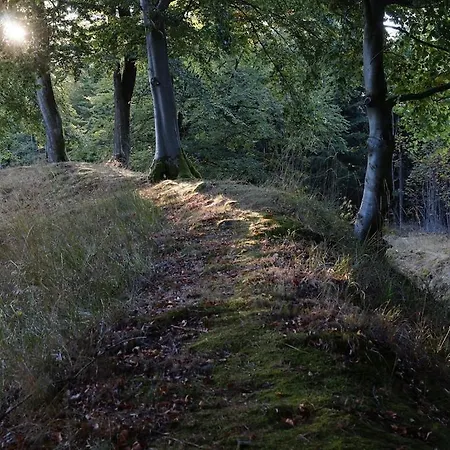 Near With Garden Willingen (Upland)