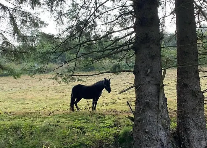 Bei Mit Garten * Willingen