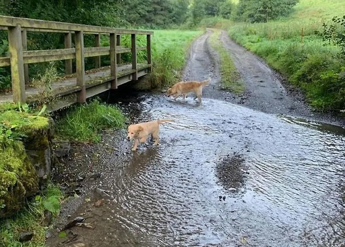 Bei Mit Garten Apartment Willingen (Upland)